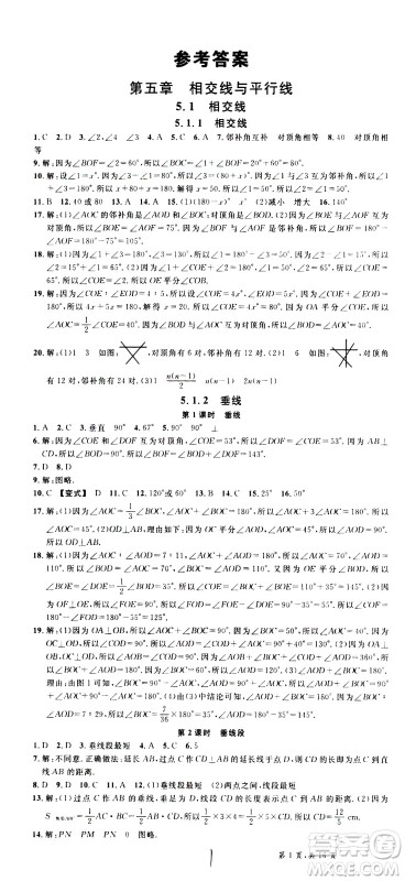 吉林教育出版社2021名校课堂河北专版领导者数学七年级下册RJ人教版答案