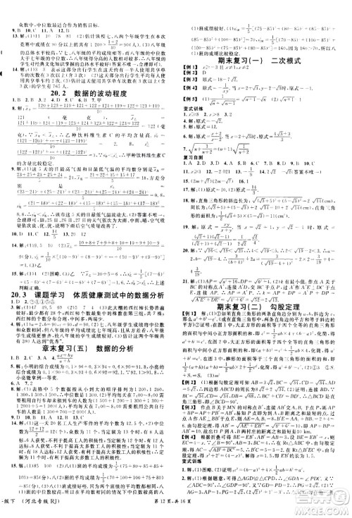 吉林教育出版社2021名校课堂河北专版领导者数学八年级下册RJ人教版答案