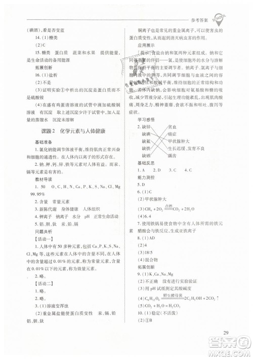 山西教育出版社2021新课程问题解决导学方案化学九年级下册人教版答案