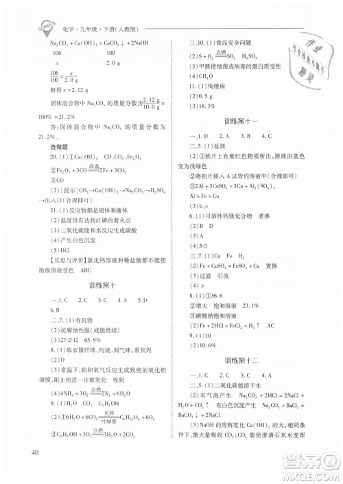 山西教育出版社2021新课程问题解决导学方案化学九年级下册人教版答案