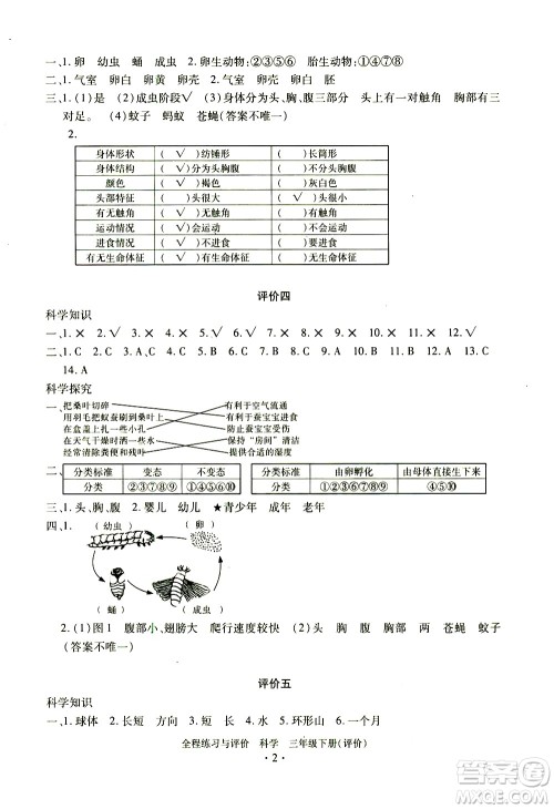 浙江人民出版社2021全程练习与评价评价三年级下册科学J冀教版答案