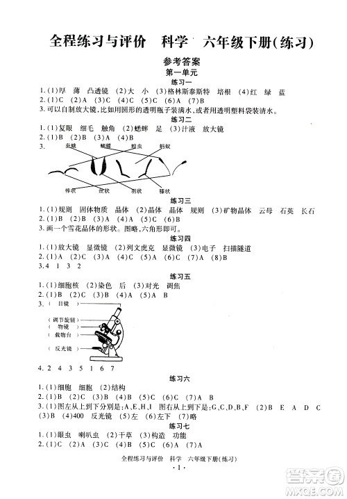 浙江人民出版社2021全程练习与评价练习六年级下册科学J冀教版答案 浙江人民出版社2021全程练习与评价练习六年级下册科学J冀教版答案