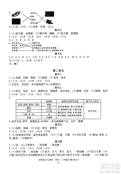浙江人民出版社2021全程练习与评价练习六年级下册科学J冀教版答案 浙江人民出版社2021全程练习与评价练习六年级下册科学J冀教版答案