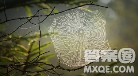 夏洛的网读后感400字 关于夏洛的网的读后感400字 夏洛的网读后感400字 关于夏洛的网的读后感400字