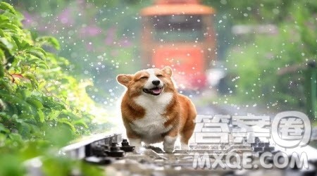 黄昏的雨作文400字 关于黄昏的雨的作文400字 黄昏的雨作文400字 关于黄昏的雨的作文400字