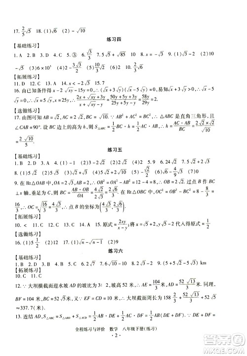 浙江人民出版社2021全程练习与评价练习八年级下册数学ZH浙教版答案