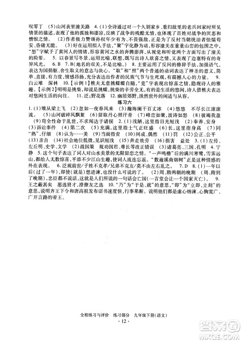 浙江人民出版社2021全程练习与评价练习九年级下册语文R人教版答案 浙江人民出版社2021全程练习与评价练习九年级下册语文R人教版答案