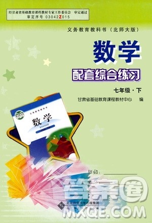 北京师范大学出版社2021年数学配套综合练习七年级下册北师大版答案