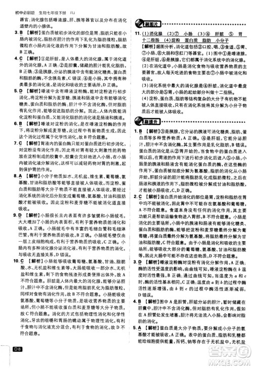 开明出版社2021版初中必刷题生物七年级下册RJ人教版答案 开明出版社2021版初中必刷题生物七年级下册RJ人教版答案