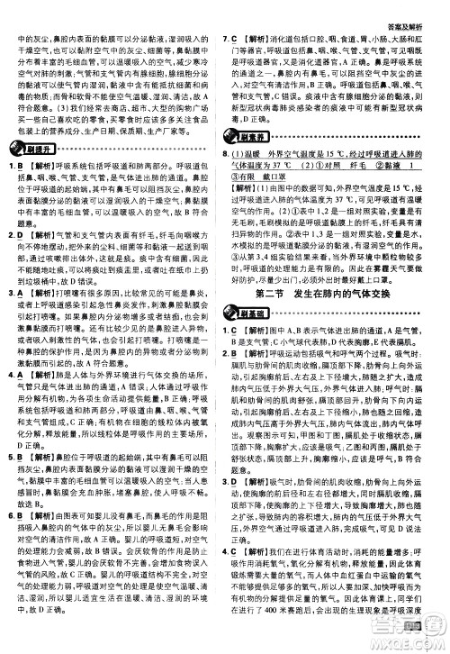 开明出版社2021版初中必刷题生物七年级下册RJ人教版答案 开明出版社2021版初中必刷题生物七年级下册RJ人教版答案