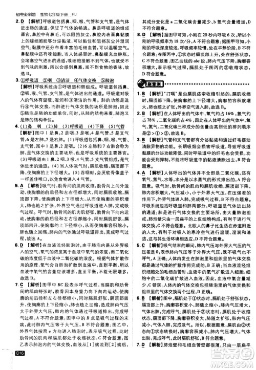 开明出版社2021版初中必刷题生物七年级下册RJ人教版答案 开明出版社2021版初中必刷题生物七年级下册RJ人教版答案