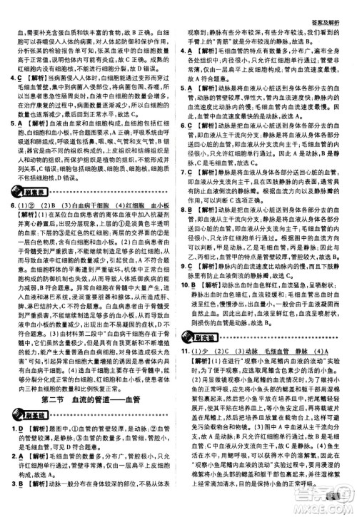 开明出版社2021版初中必刷题生物七年级下册RJ人教版答案 开明出版社2021版初中必刷题生物七年级下册RJ人教版答案