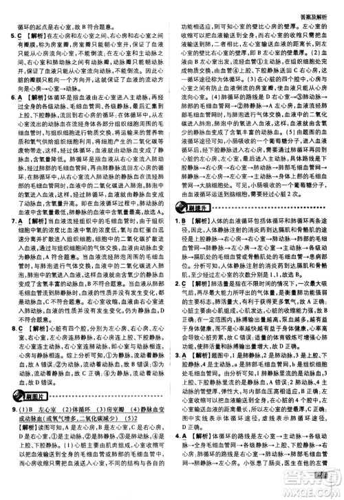 开明出版社2021版初中必刷题生物七年级下册RJ人教版答案 开明出版社2021版初中必刷题生物七年级下册RJ人教版答案