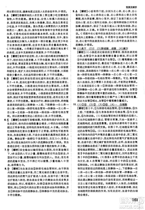 开明出版社2021版初中必刷题生物七年级下册RJ人教版答案 开明出版社2021版初中必刷题生物七年级下册RJ人教版答案