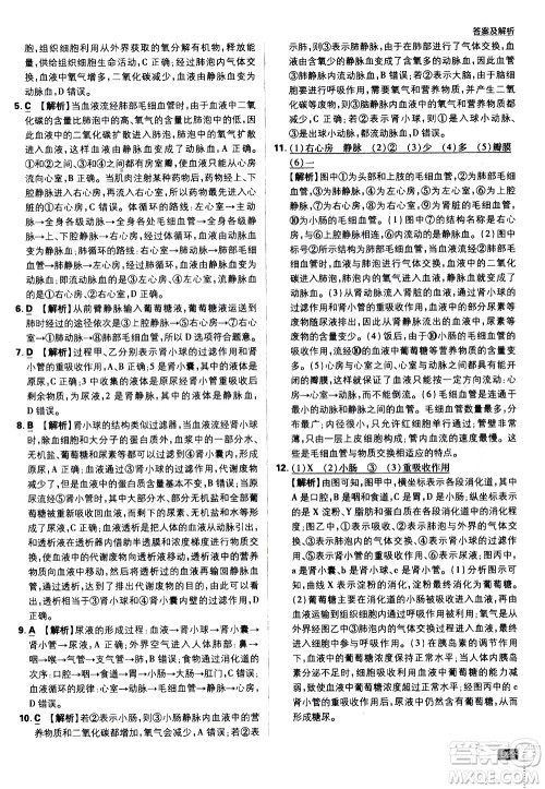 开明出版社2021版初中必刷题生物七年级下册RJ人教版答案 开明出版社2021版初中必刷题生物七年级下册RJ人教版答案