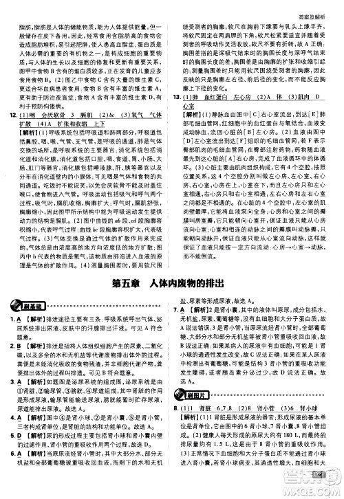 开明出版社2021版初中必刷题生物七年级下册RJ人教版答案 开明出版社2021版初中必刷题生物七年级下册RJ人教版答案