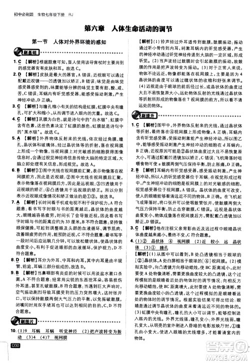 开明出版社2021版初中必刷题生物七年级下册RJ人教版答案 开明出版社2021版初中必刷题生物七年级下册RJ人教版答案