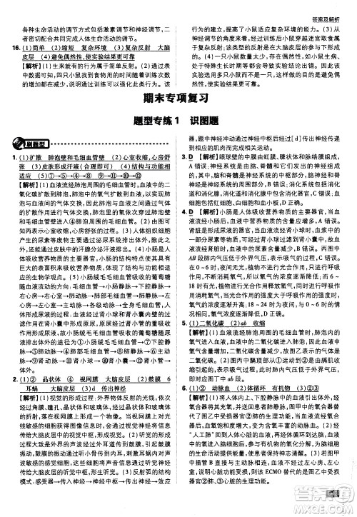 开明出版社2021版初中必刷题生物七年级下册RJ人教版答案 开明出版社2021版初中必刷题生物七年级下册RJ人教版答案