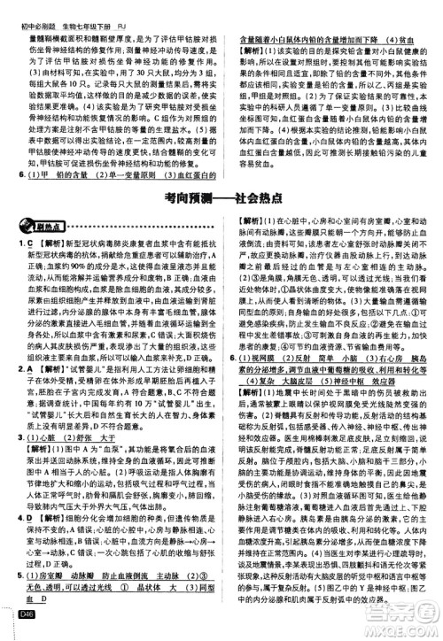 开明出版社2021版初中必刷题生物七年级下册RJ人教版答案 开明出版社2021版初中必刷题生物七年级下册RJ人教版答案