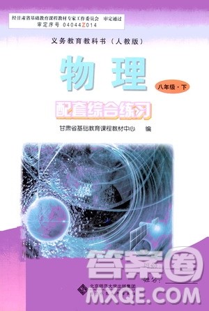 北京师范大学出版社2021年物理配套综合练习八年级下册人教版答案
