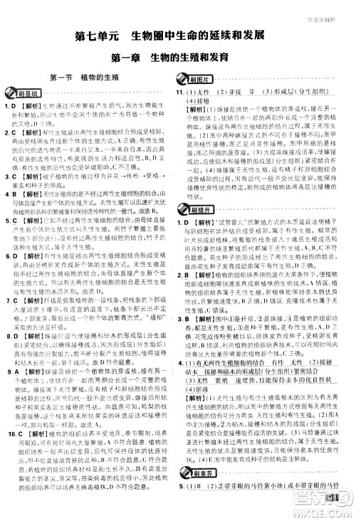 开明出版社2021版初中必刷题生物八年级下册RJ人教版答案