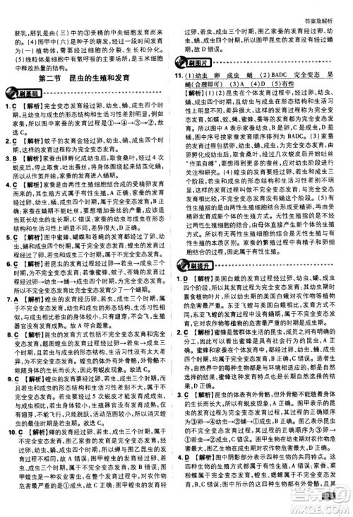 开明出版社2021版初中必刷题生物八年级下册RJ人教版答案