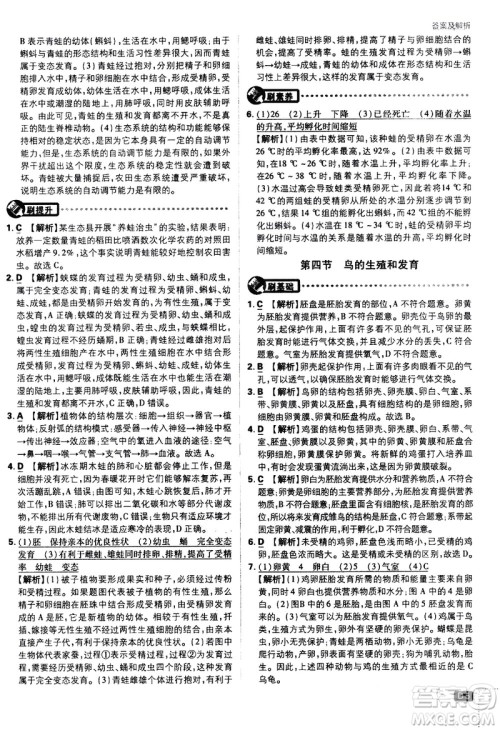 开明出版社2021版初中必刷题生物八年级下册RJ人教版答案