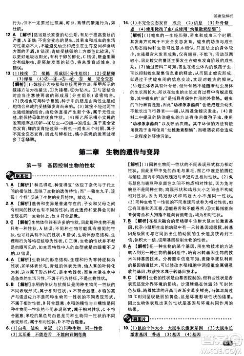 开明出版社2021版初中必刷题生物八年级下册RJ人教版答案