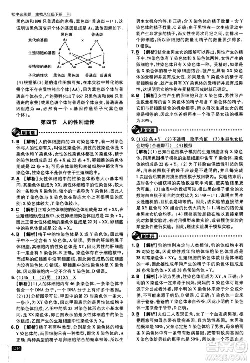 开明出版社2021版初中必刷题生物八年级下册RJ人教版答案