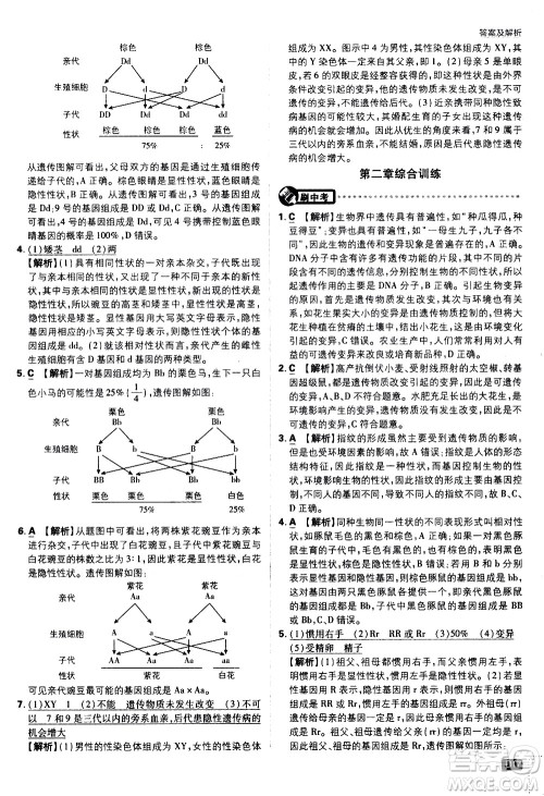 开明出版社2021版初中必刷题生物八年级下册RJ人教版答案