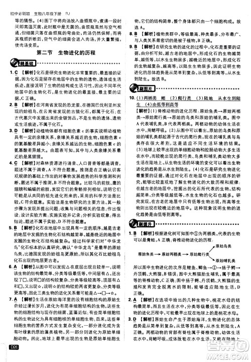 开明出版社2021版初中必刷题生物八年级下册RJ人教版答案
