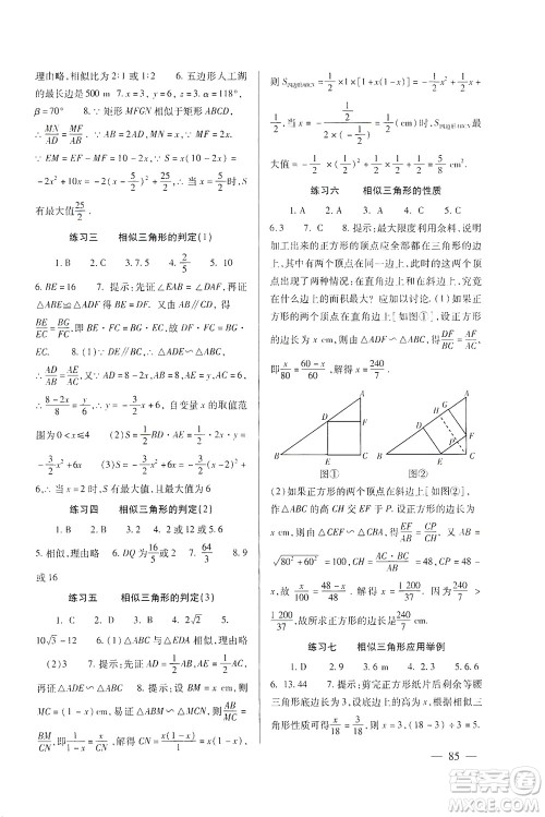 北京师范大学出版社2021年数学配套综合练习九年级下册人教版答案 北京师范大学出版社2021年数学配套综合练习九年级下册人教版答案