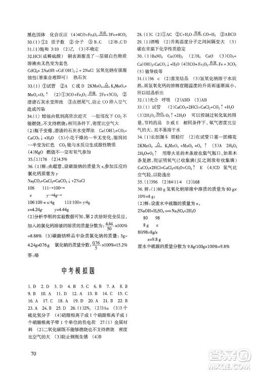 科学出版社2021年化学配套综合练习九年级下册科学版答案 科学出版社2021年化学配套综合练习九年级下册科学版答案