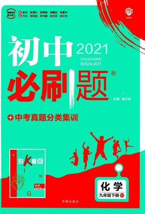 开明出版社2021版初中必刷题化学九年级下册RJ人教版答案