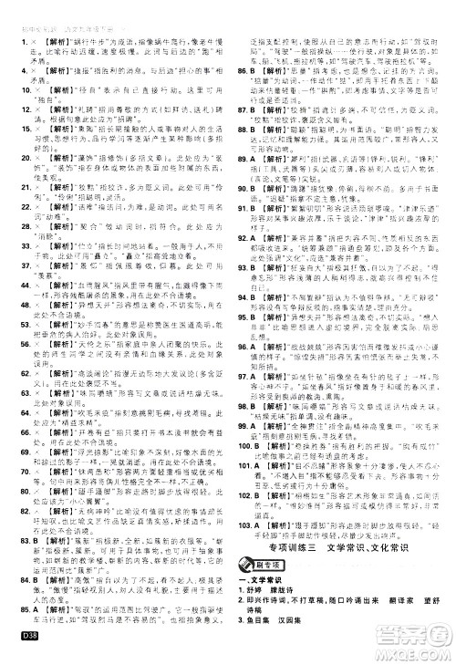 开明出版社2021版初中必刷题语文九年级下册RJ人教版答案