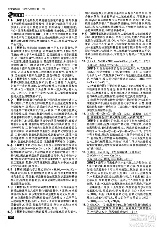 开明出版社2021版初中必刷题化学九年级下册RJ人教版答案