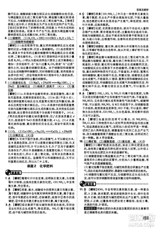 开明出版社2021版初中必刷题化学九年级下册RJ人教版答案