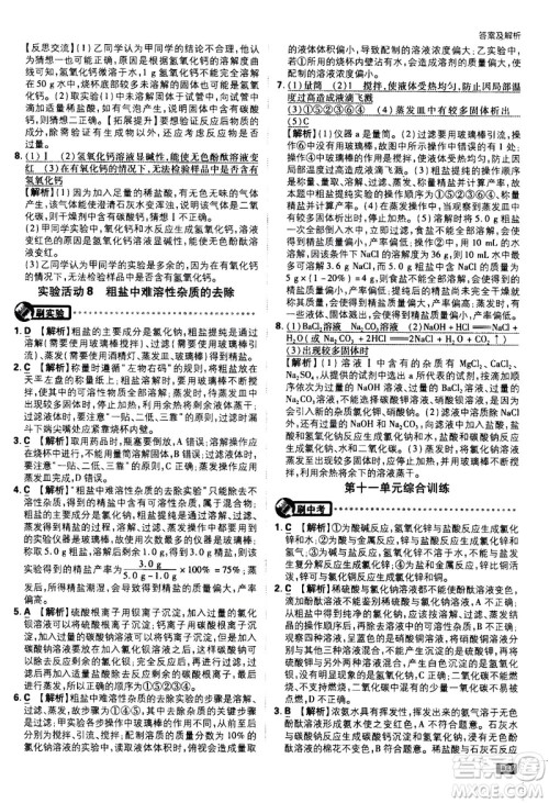 开明出版社2021版初中必刷题化学九年级下册RJ人教版答案