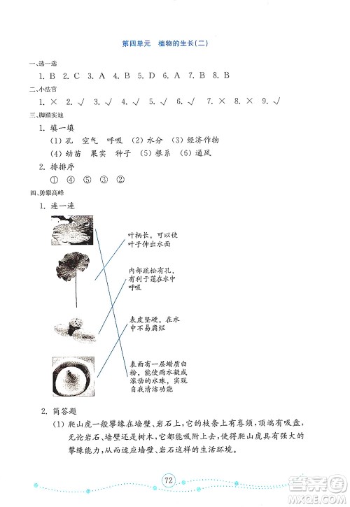 山东教育出版社2021年小学科学金钥匙试卷四年级下册金版青岛版答案