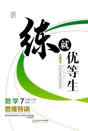 阳光出版社2021练就优等生数学思维特训七年级下册新课标RJ人教版答案