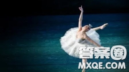 在这个时代对量的追求似乎满足着人们的某些需求材料作文800字 在这个时代对量的追求似乎满足着人们的某些需求材料作文800字