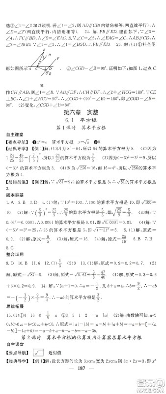 四川大学出版社2021梯田文化课堂点睛七年级数学下册人教版答案