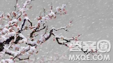 如何让两个意见不一致的人尽量接近材料作文800字 如何让两个意见不一致的人尽量接近材料作文800字