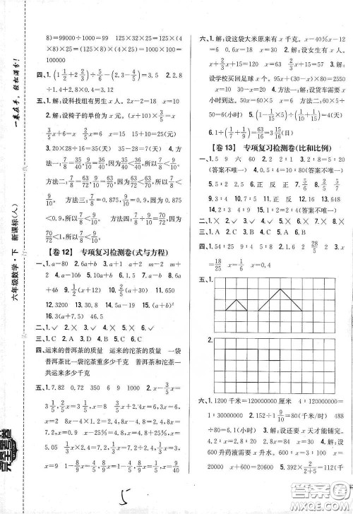 2021云南重点小学名师名题小学教材完全考卷六年级数学下册新课标人教版云南专版滇峰专用答案