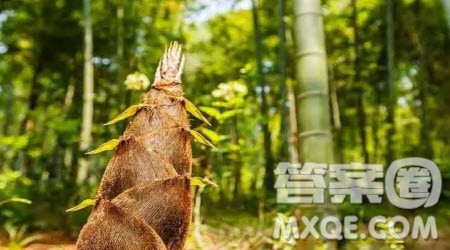 写我的乡村生活的作文600字 关于写我的乡村生活的作文600字 写我的乡村生活的作文600字 关于写我的乡村生活的作文600字