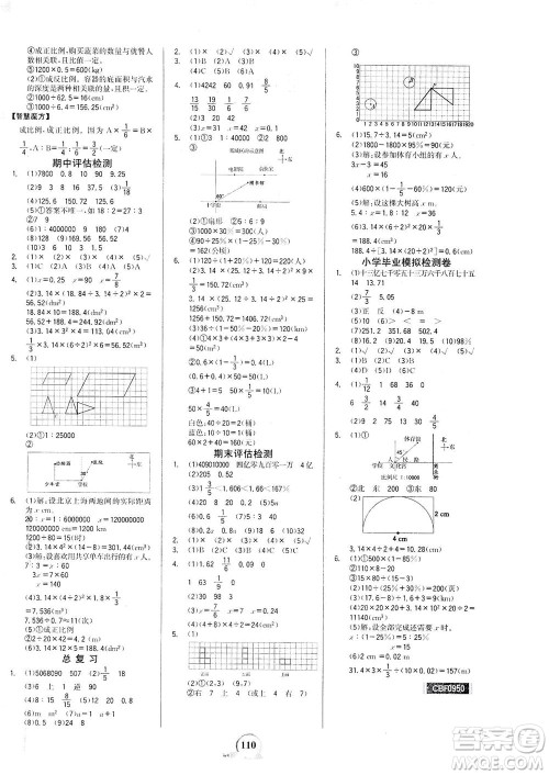 延边大学出版社2021世纪金榜金榜小博士数学六年级下册BS北师大版答案