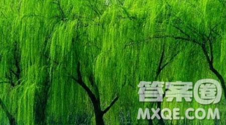 我心目中的湛河作文400字 关于我心目中的湛河的作文400字 我心目中的湛河作文400字 关于我心目中的湛河的作文400字