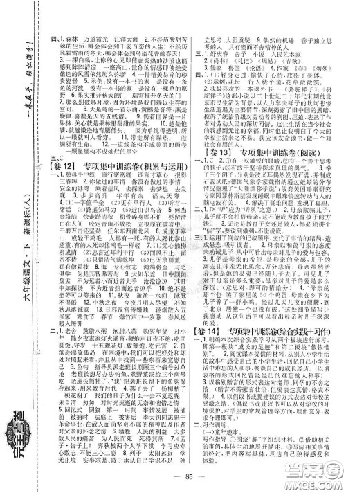 吉林人民出版社2021小学教材完全考卷六年级语文下册新课标人教版答案