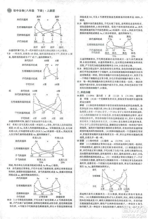 教育科学出版社2021年5年中考3年模拟初中生物八年级下册人教版参考答案