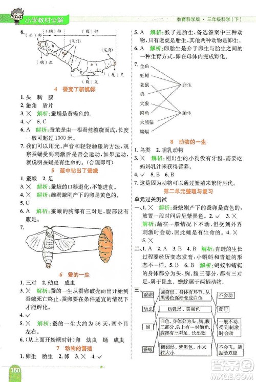 陕西人民教育出版社2021小学教材全解三年级下册科学教科版参考答案